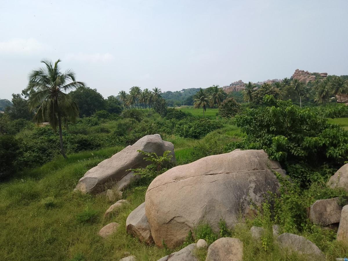Monkey Paradise Hampi Esterno foto