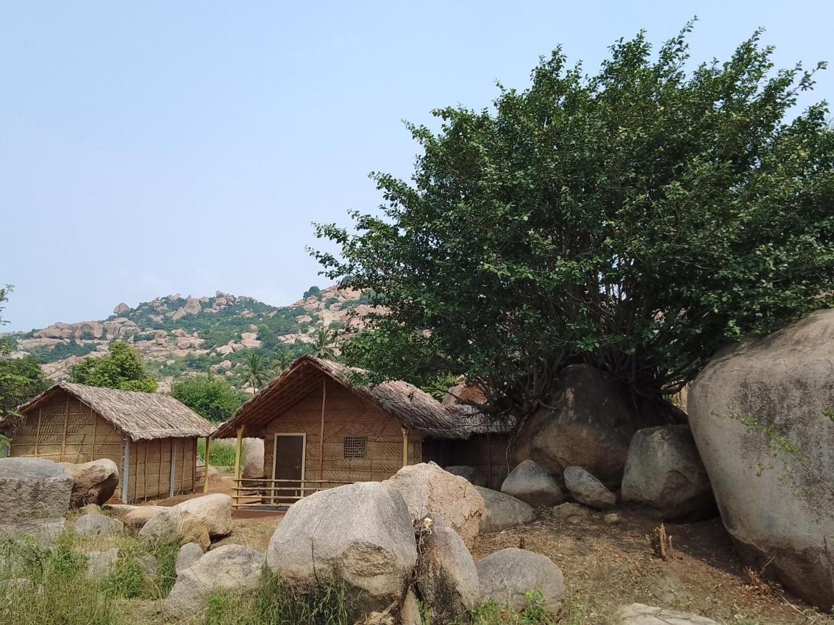 Monkey Paradise Hampi Esterno foto