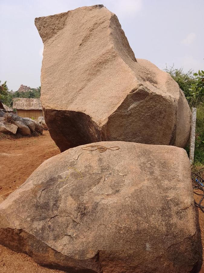 Monkey Paradise Hampi Esterno foto